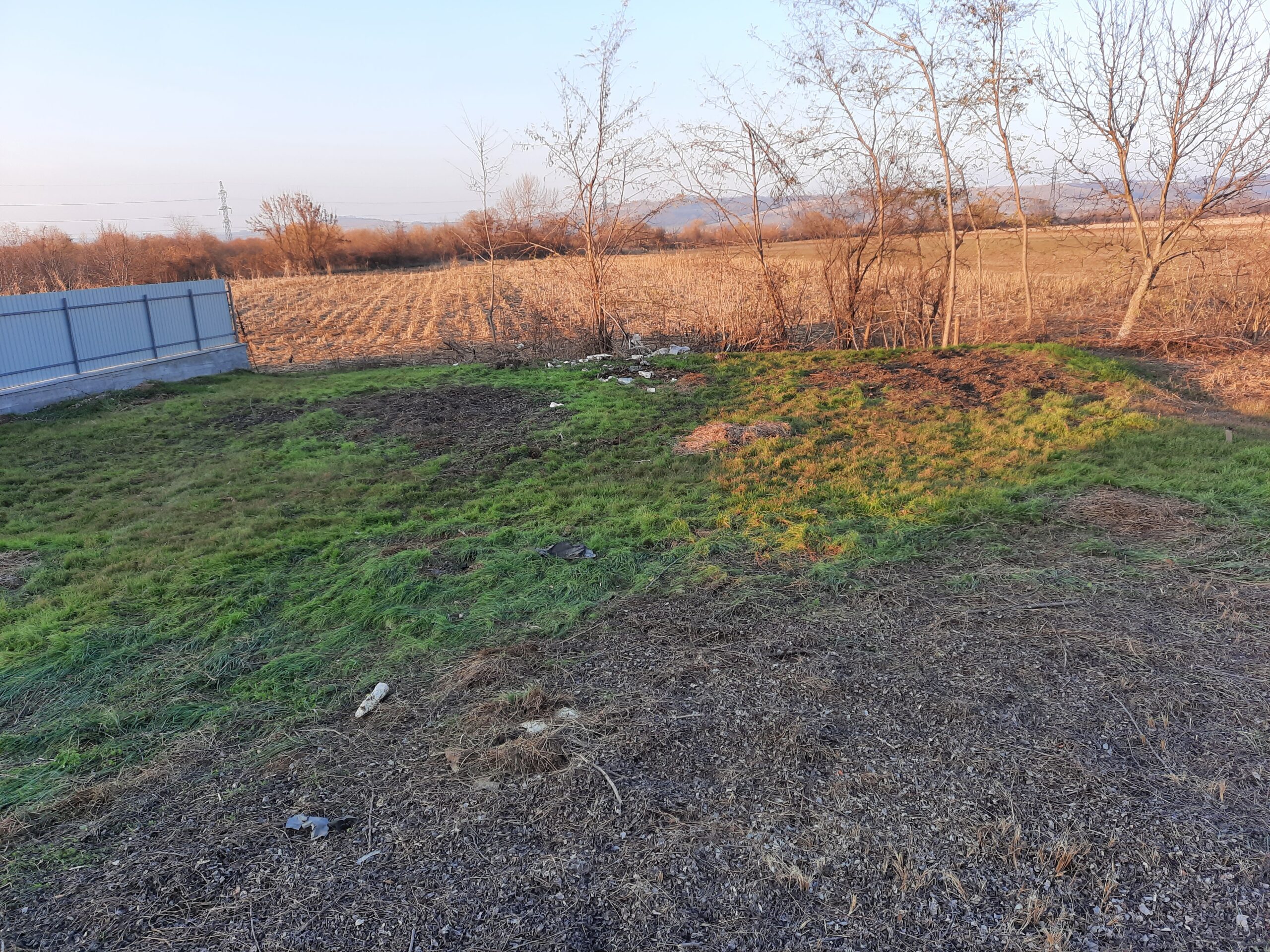 Defrisari si curățenie terenuri etc