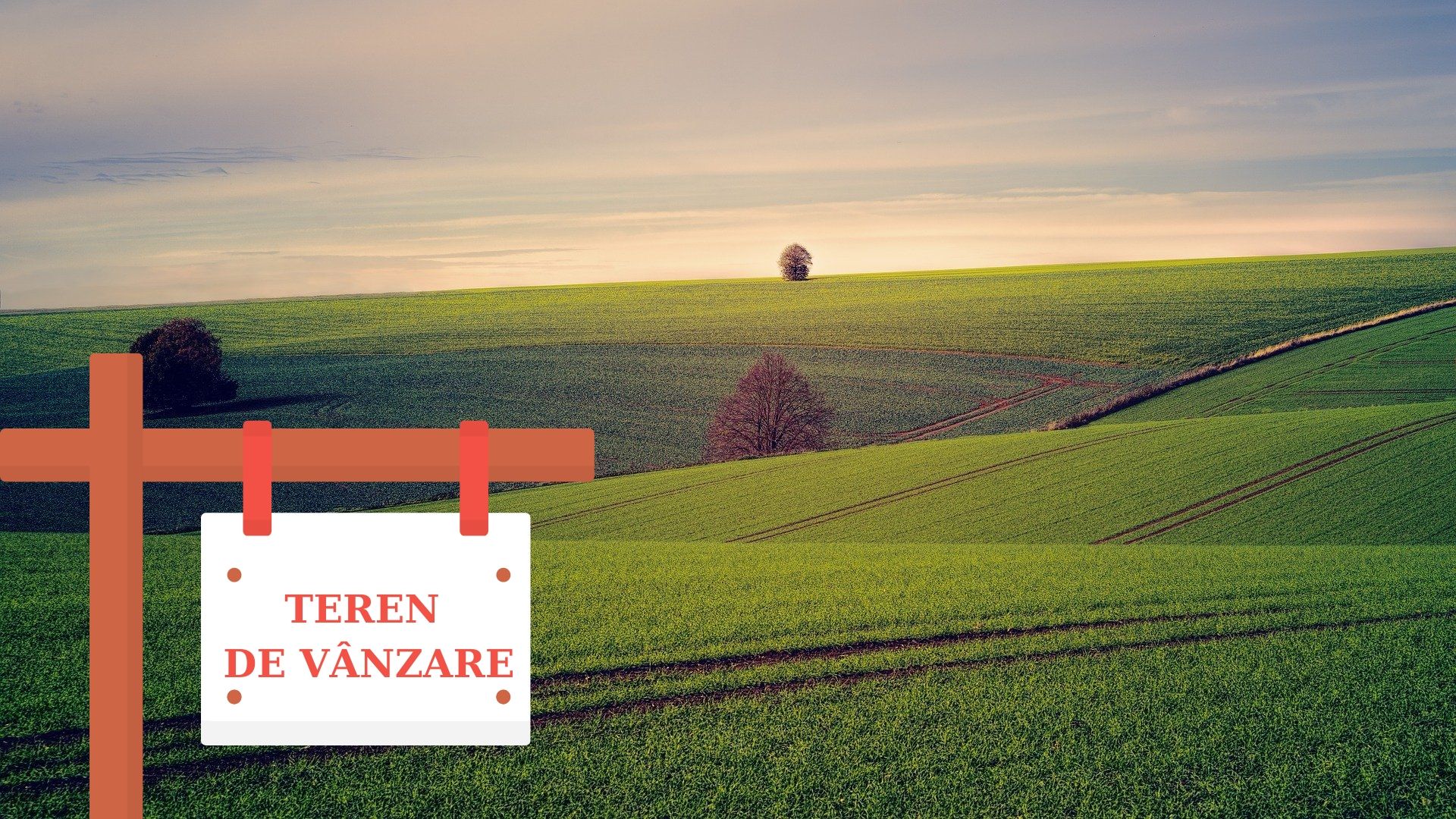 Imobiliare vanzare teren