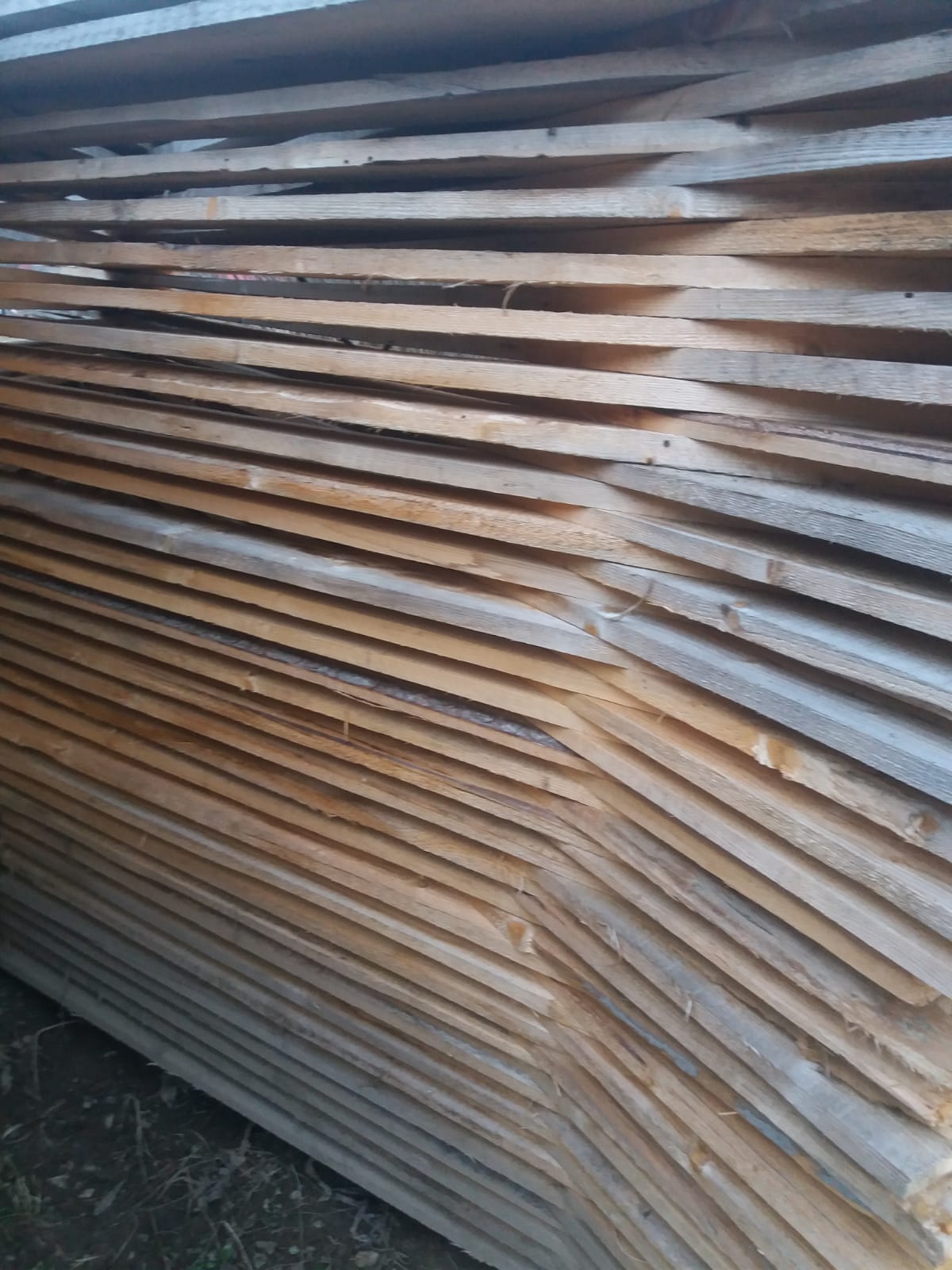 Cherestea rasinoase!!!