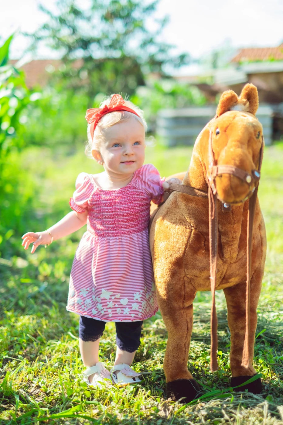 Fotografi botez, nuntă, evenimente