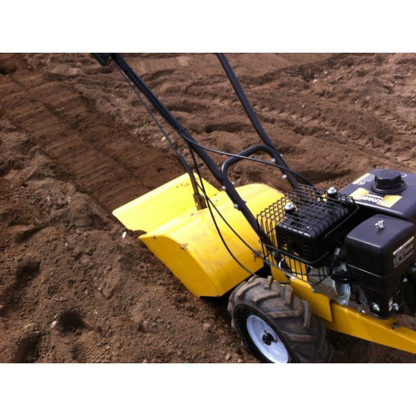 Tăieri pomi fructiferi