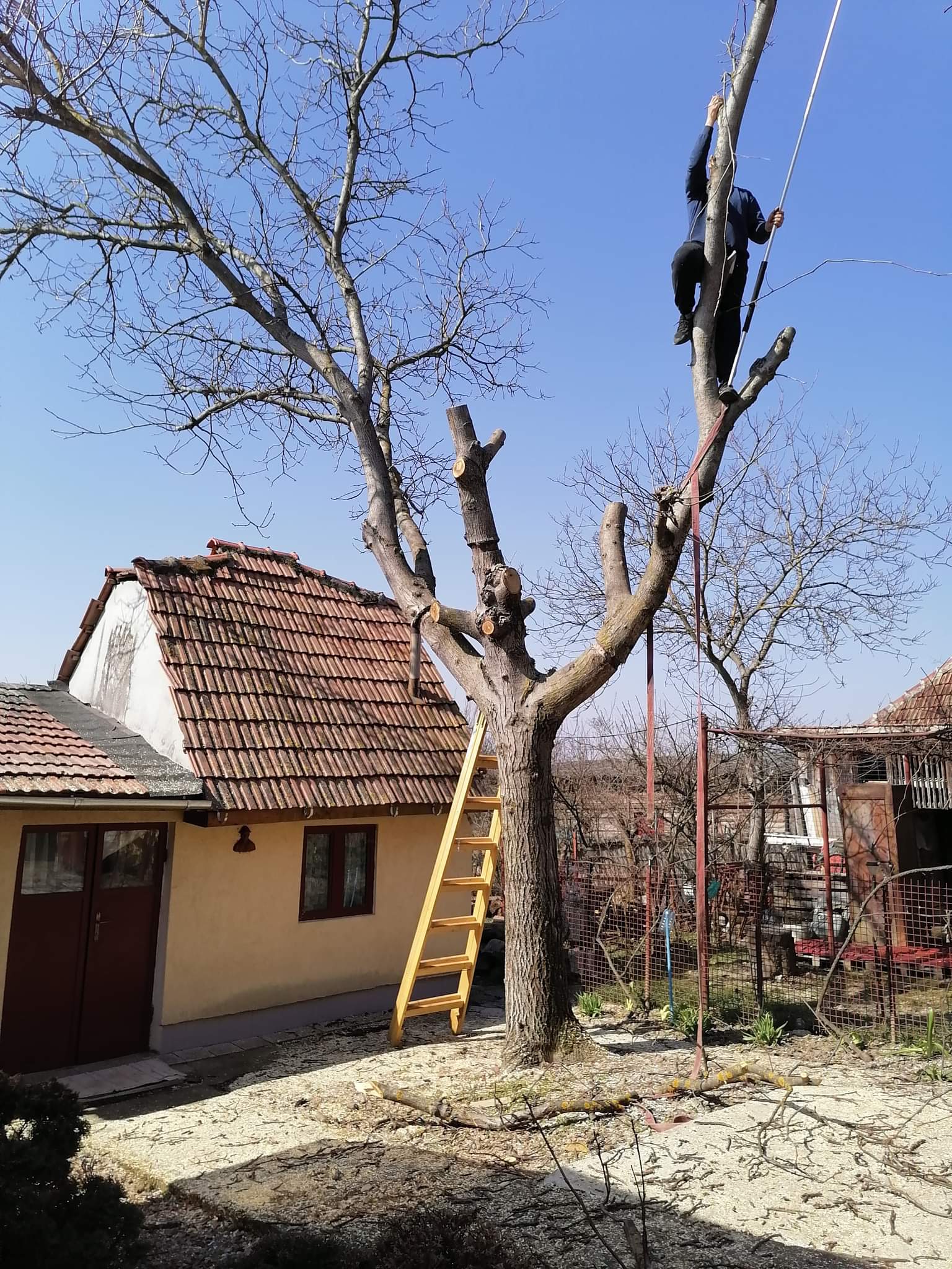 Defrisari si curățenie terenuri etc