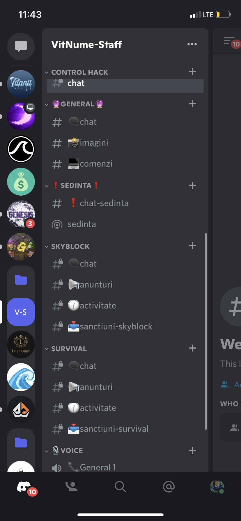 Servere de Discord custom