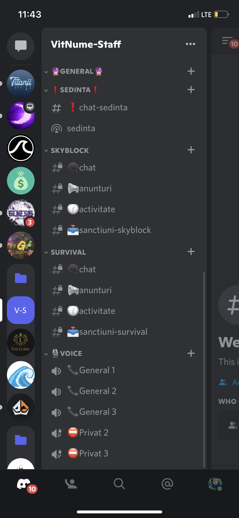 Servere de Discord custom