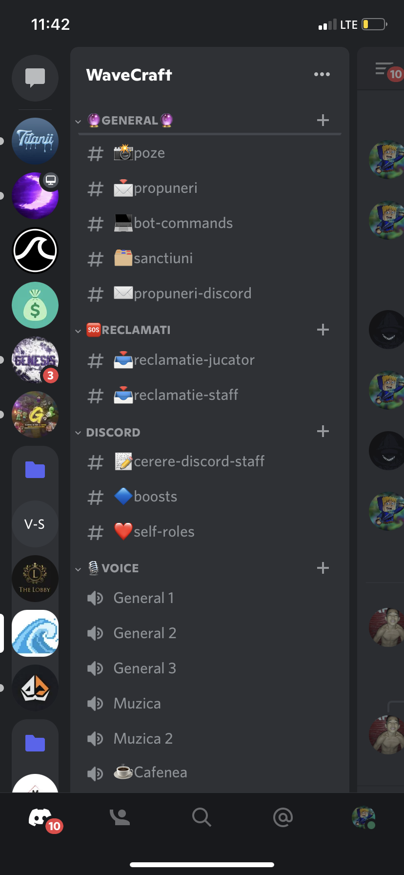 Servere de Discord custom