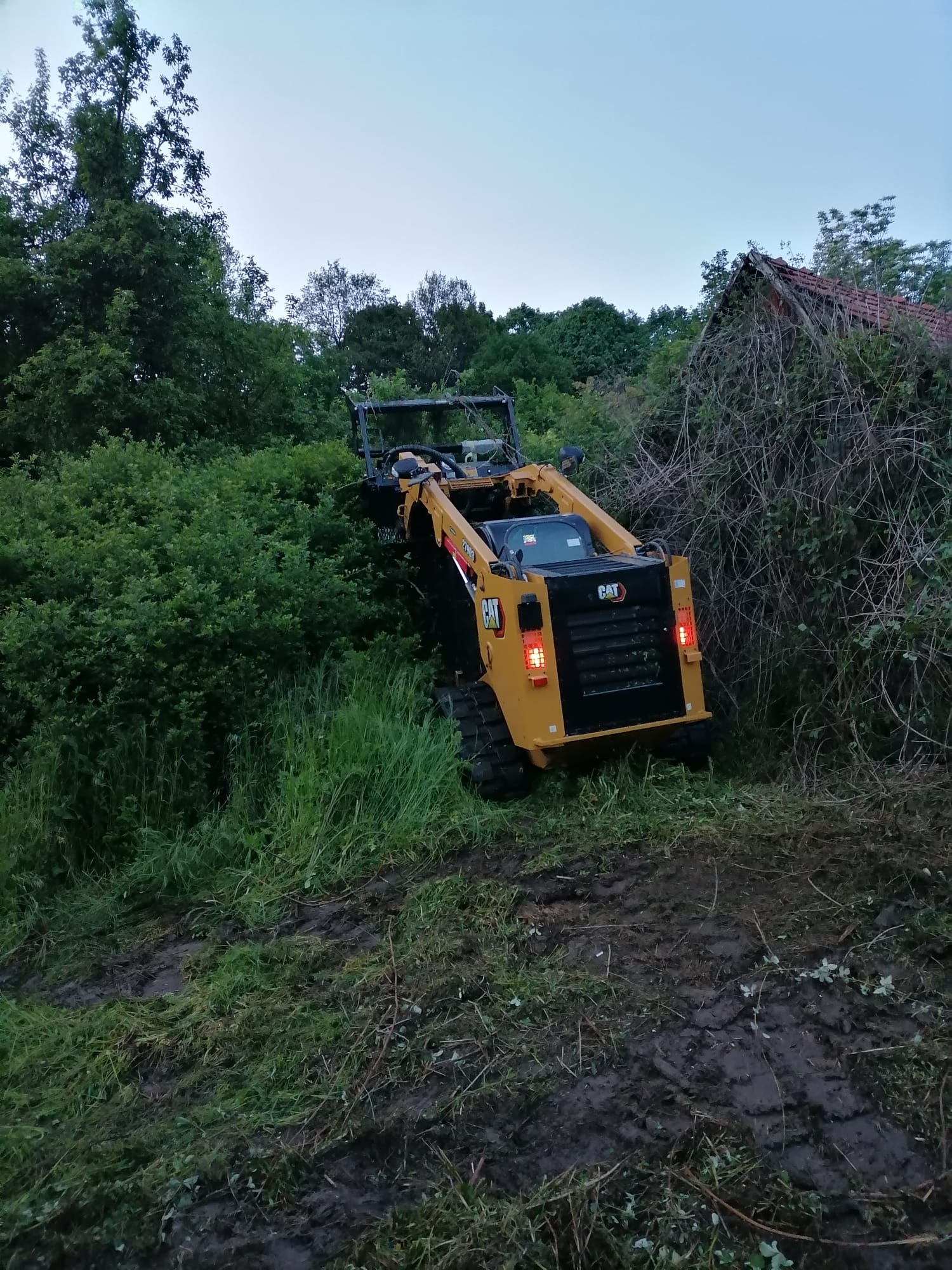 Curatare pasuni,livezi sau terenuri.