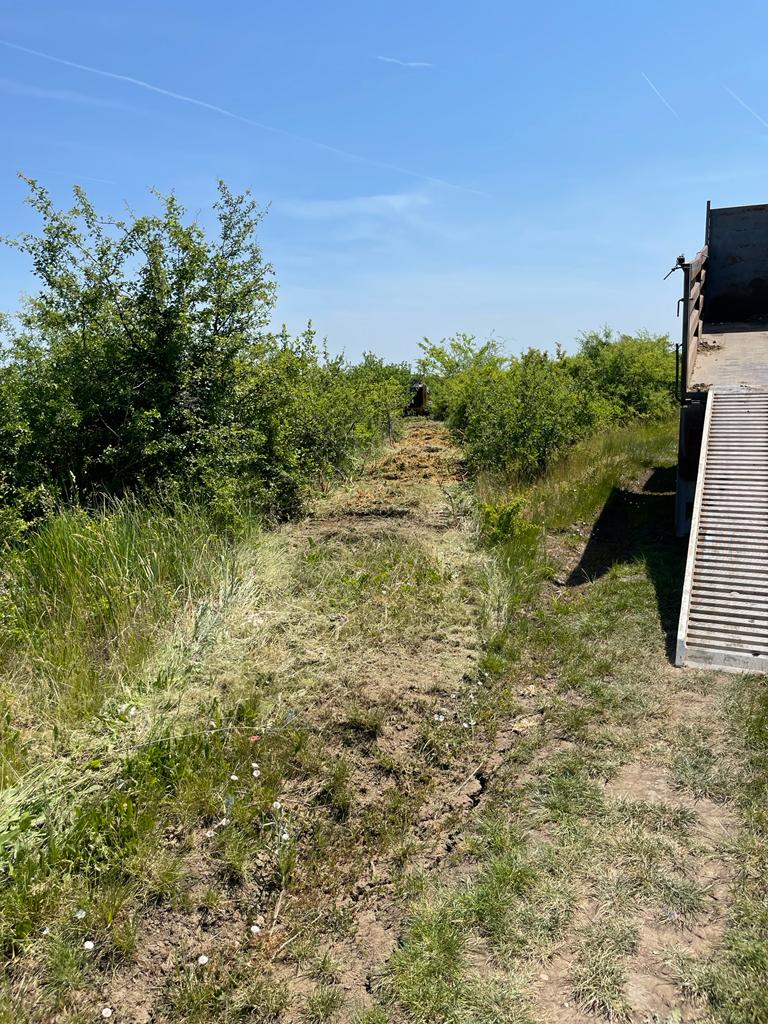 Curatare pasuni,livezi sau terenuri.