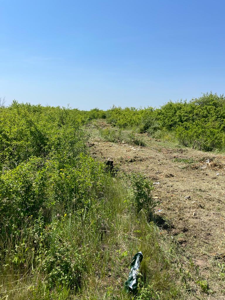 Curatare pasuni,livezi sau terenuri.