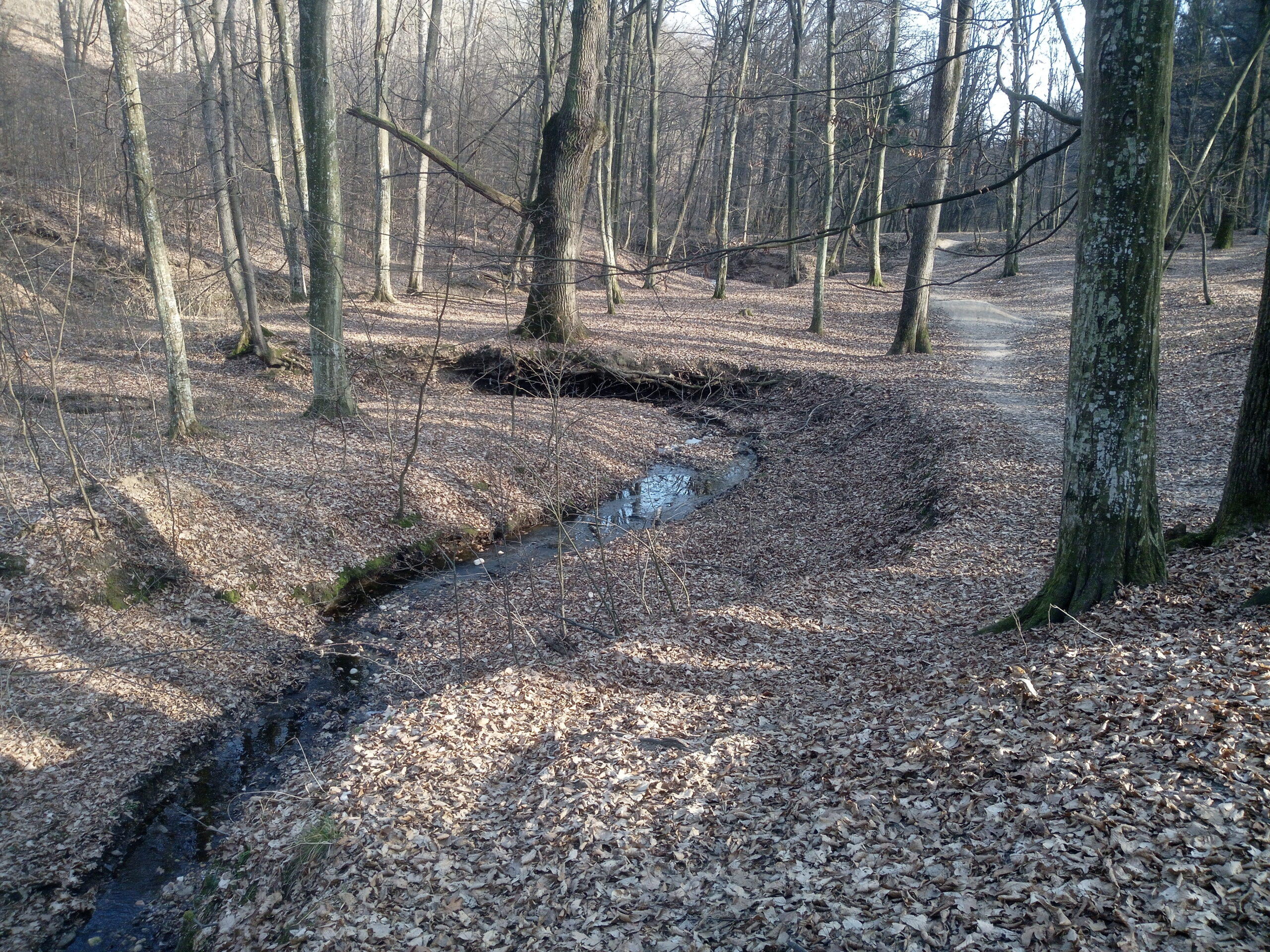 cadastru carte funciara