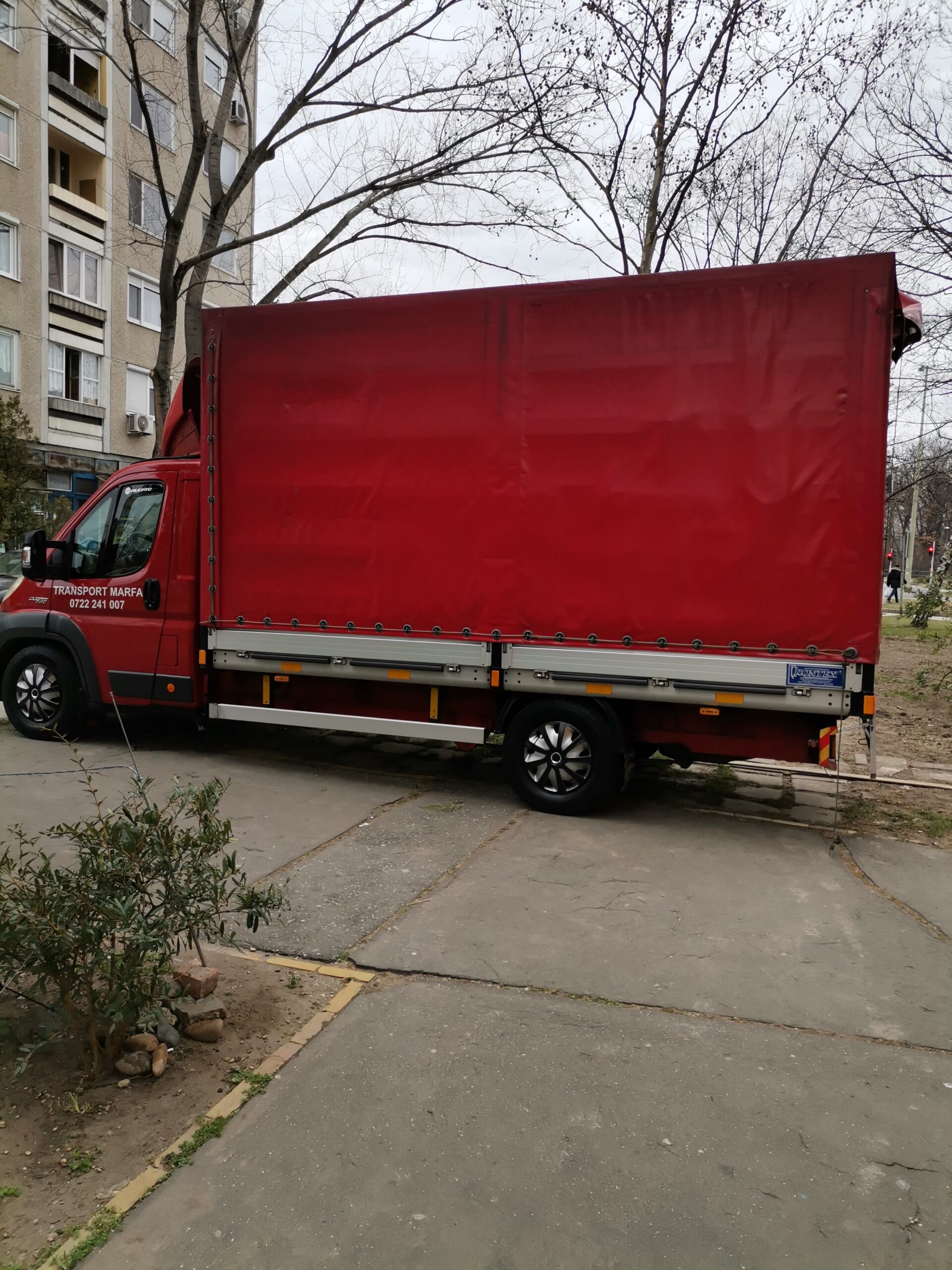 Trans Mutări Relocări Timiș