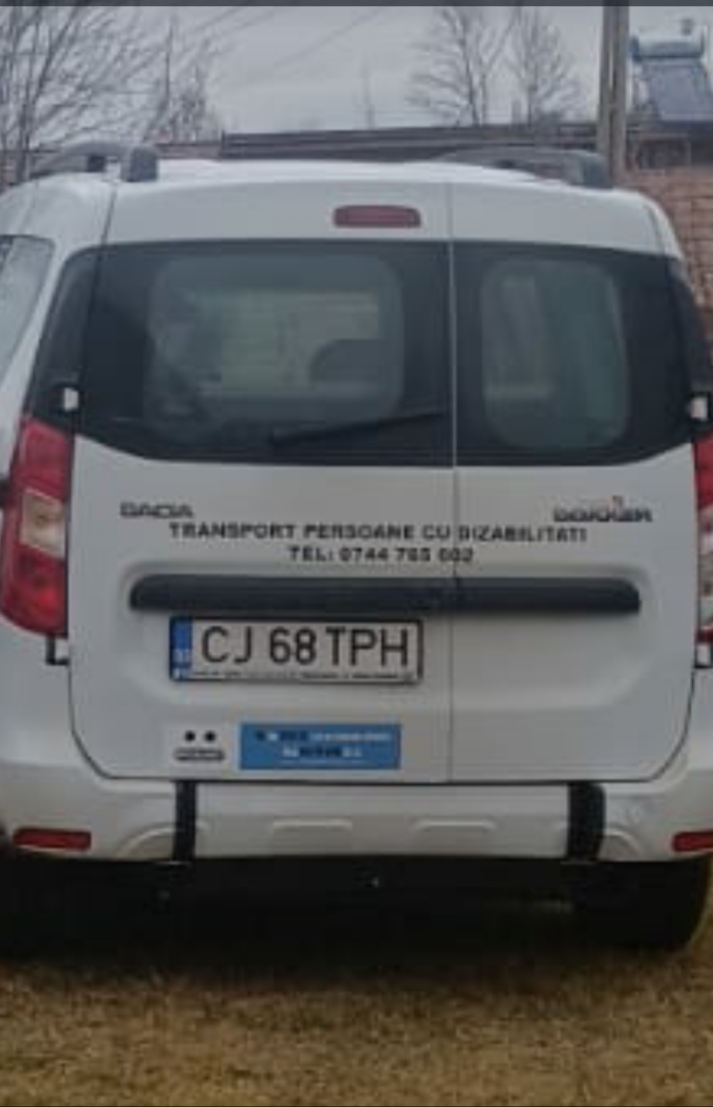 Transport persoane cu dizabilitati