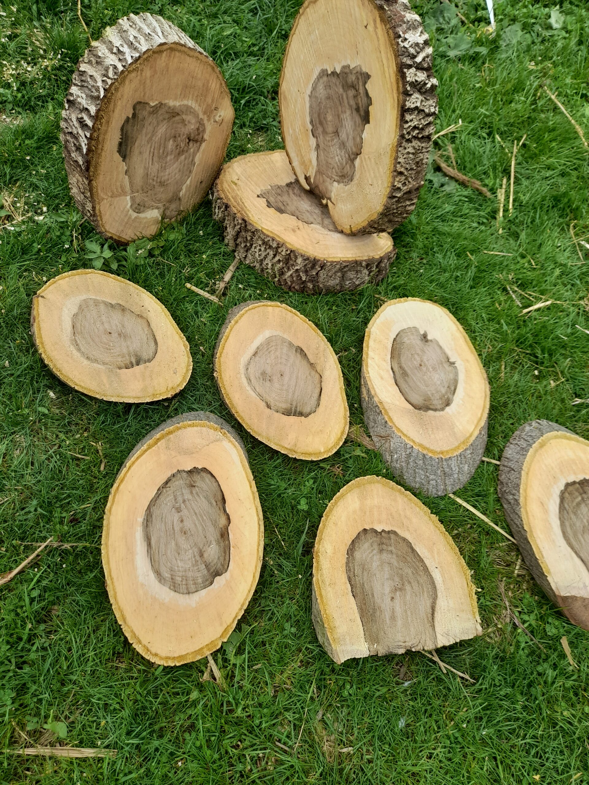 Rondele din lemn/ felii de lemn