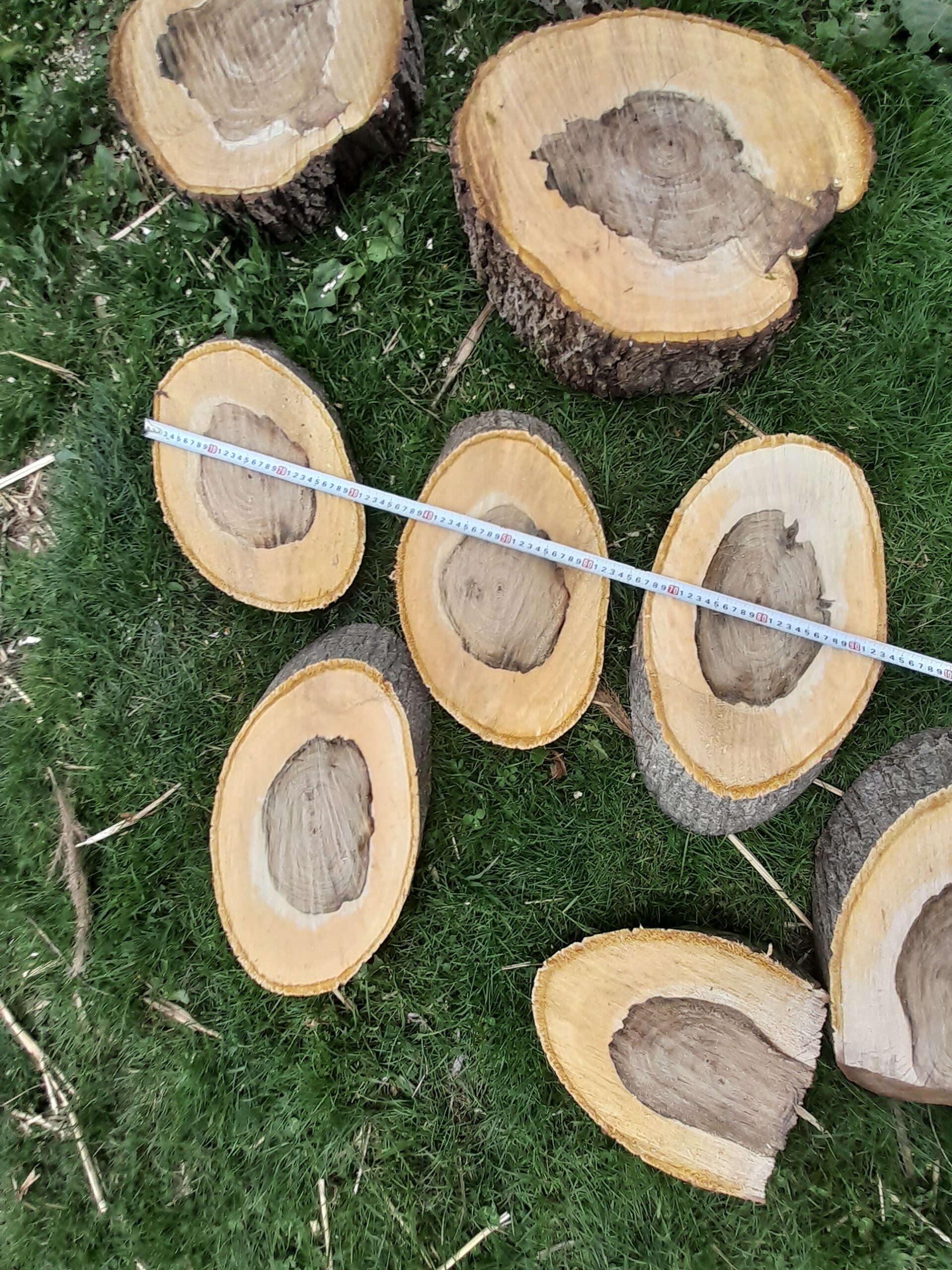 Rondele din lemn/ felii de lemn