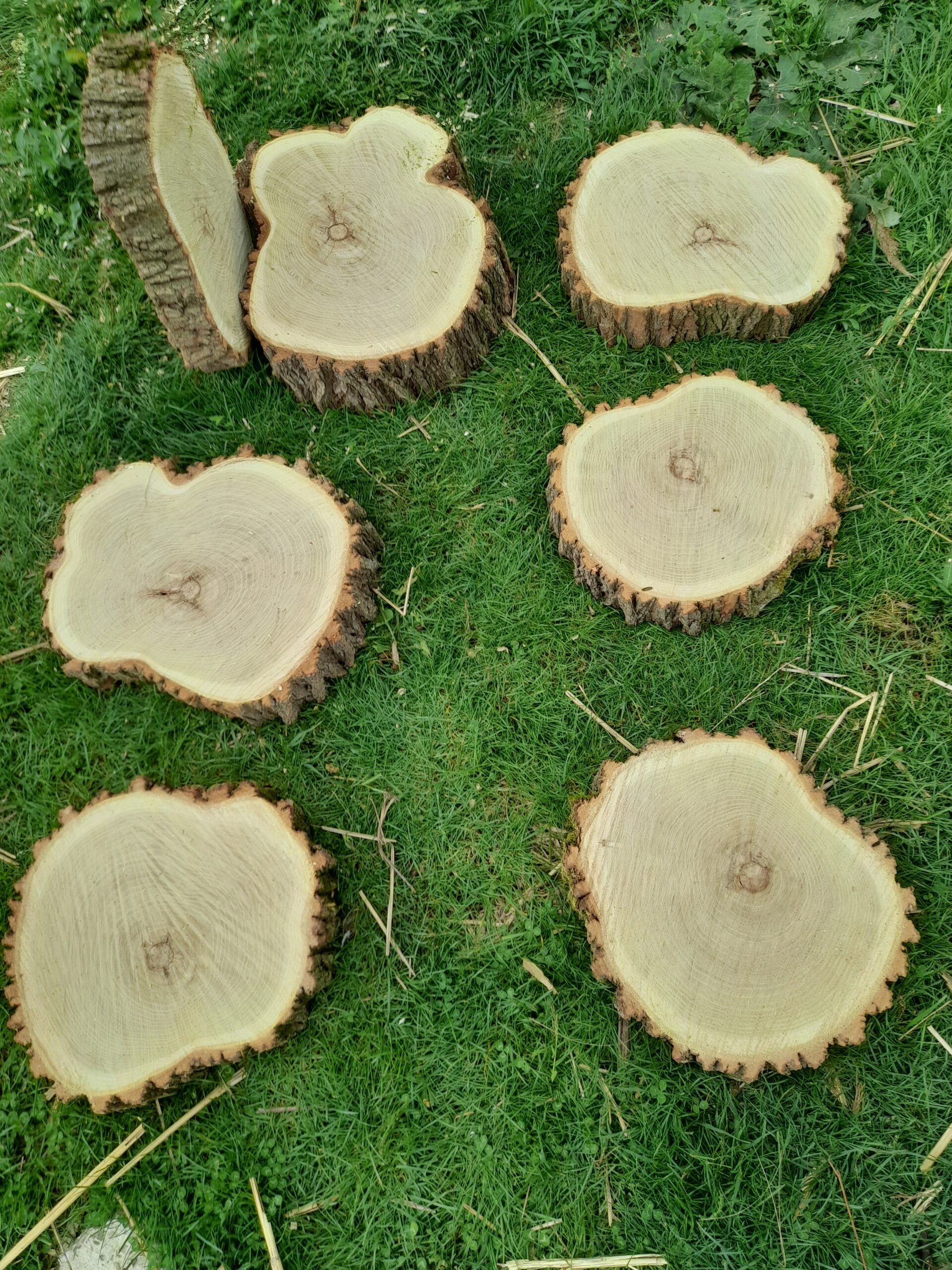 Rondele din lemn/ felii de lemn