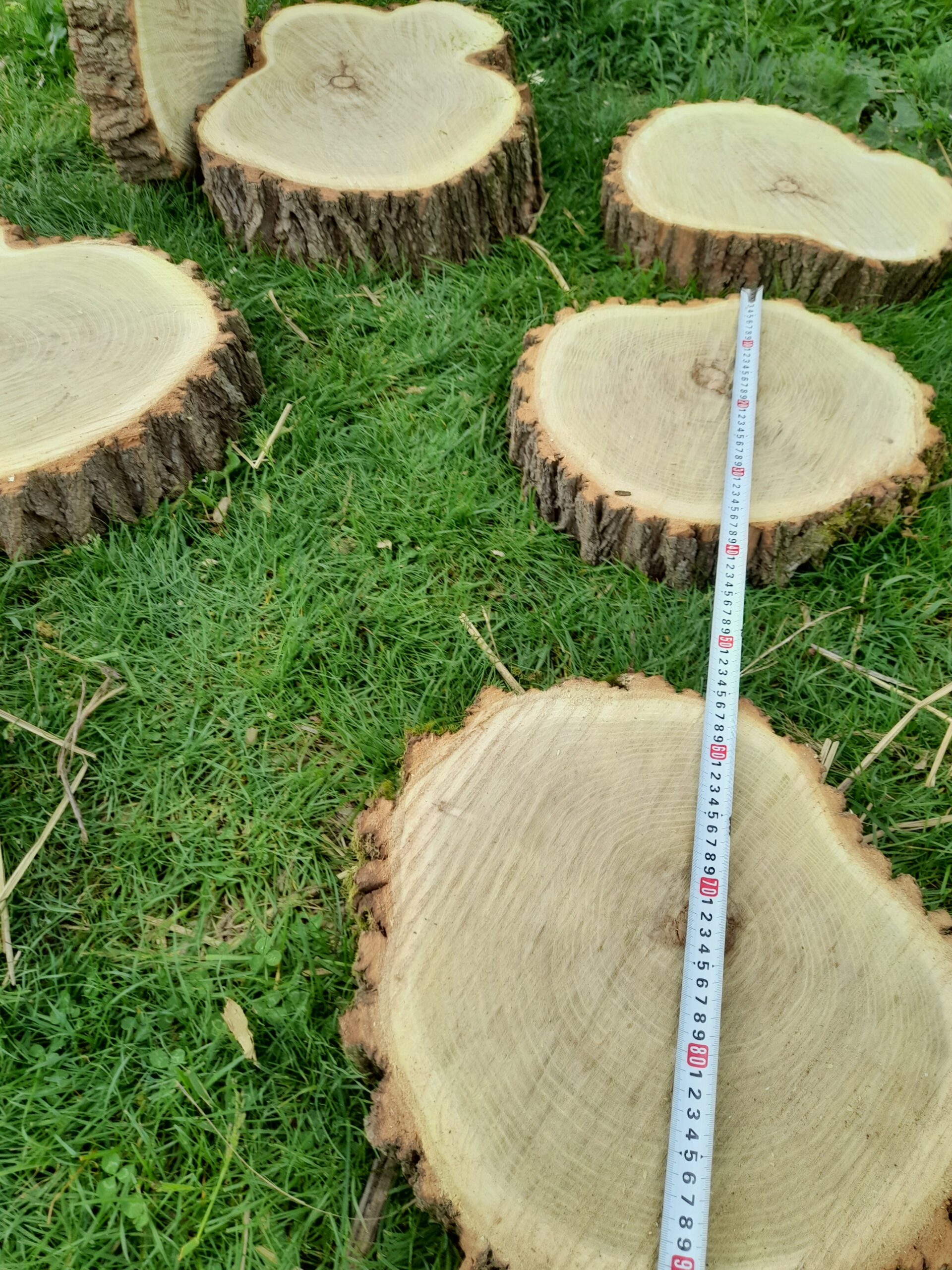 Rondele din lemn/ felii de lemn