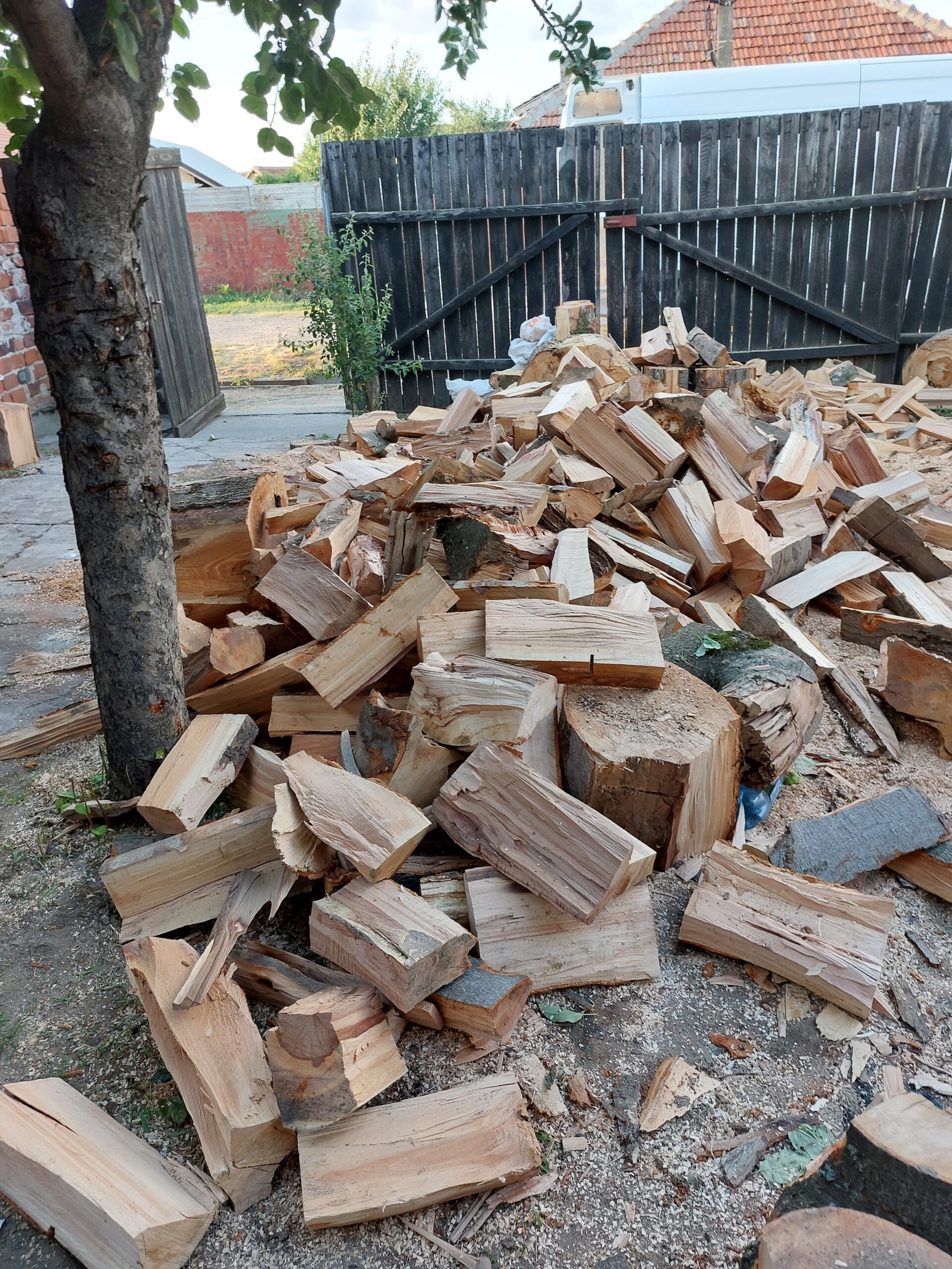 Lemne de foc la palet, fag și carpen