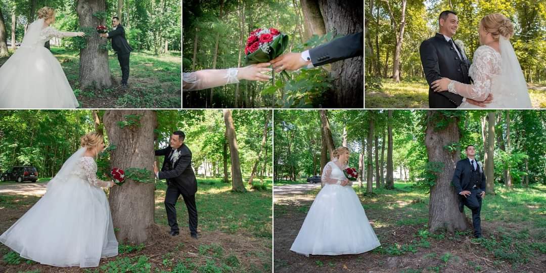 Foto-video, gheata carbonica