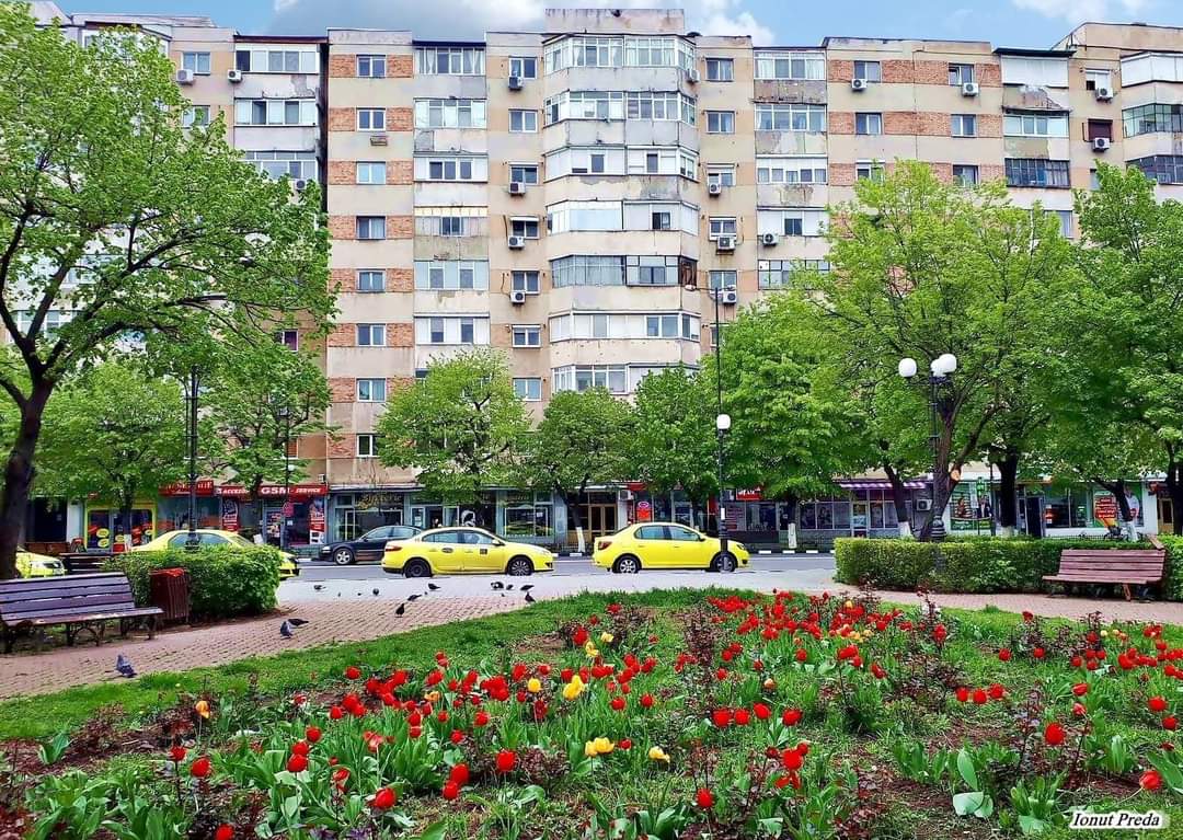 Taxi Vama Giurgiu Tel 0721055266