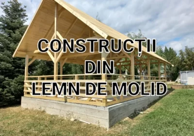 Construcții lemn ( foișoare, terase, garaje etc)