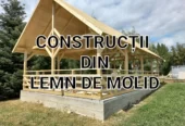 Construcții lemn de molid