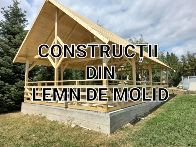 Construcții lemn de molid