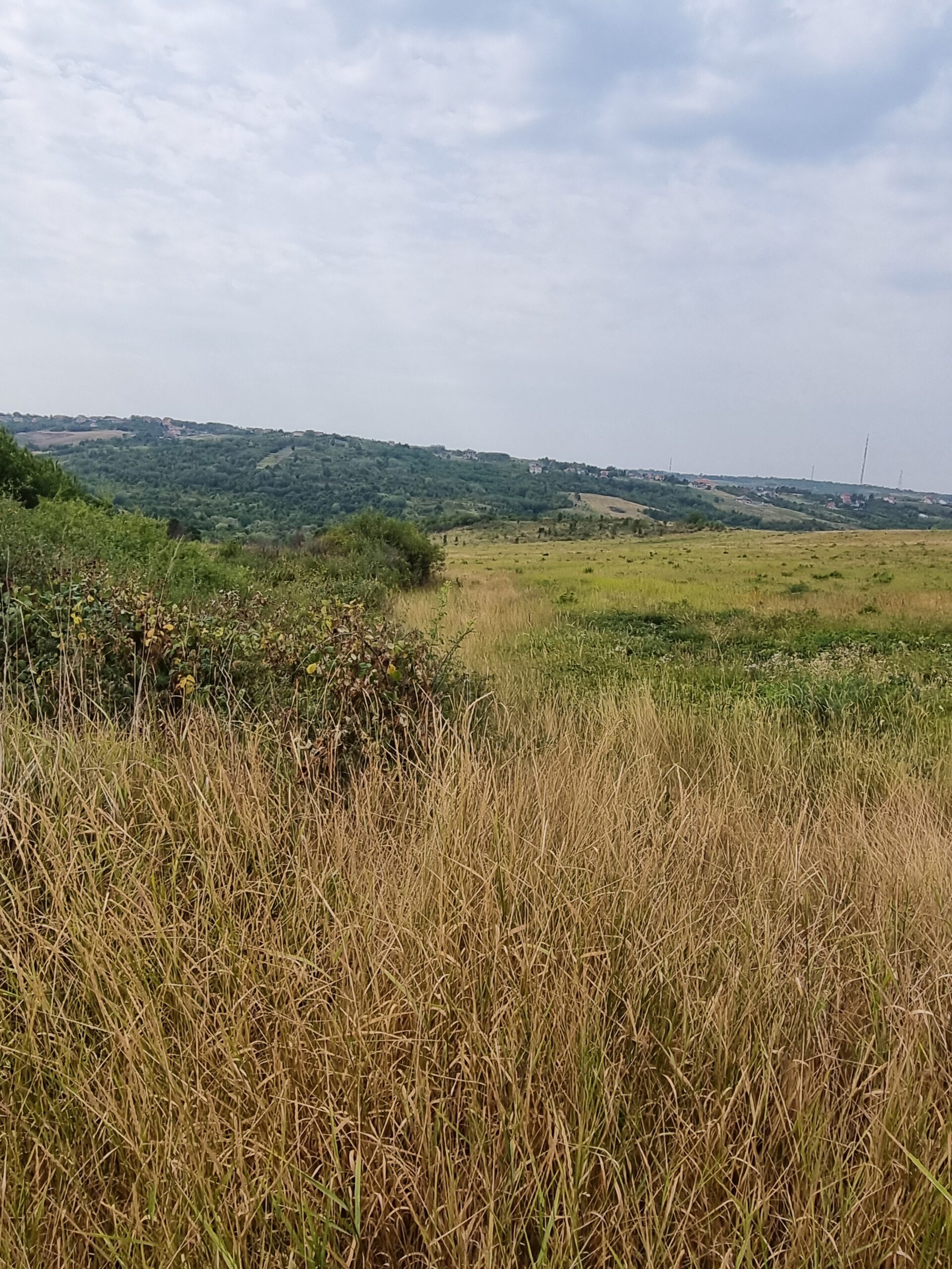 De vanzare teren intravilan la Saldabagiu de munte