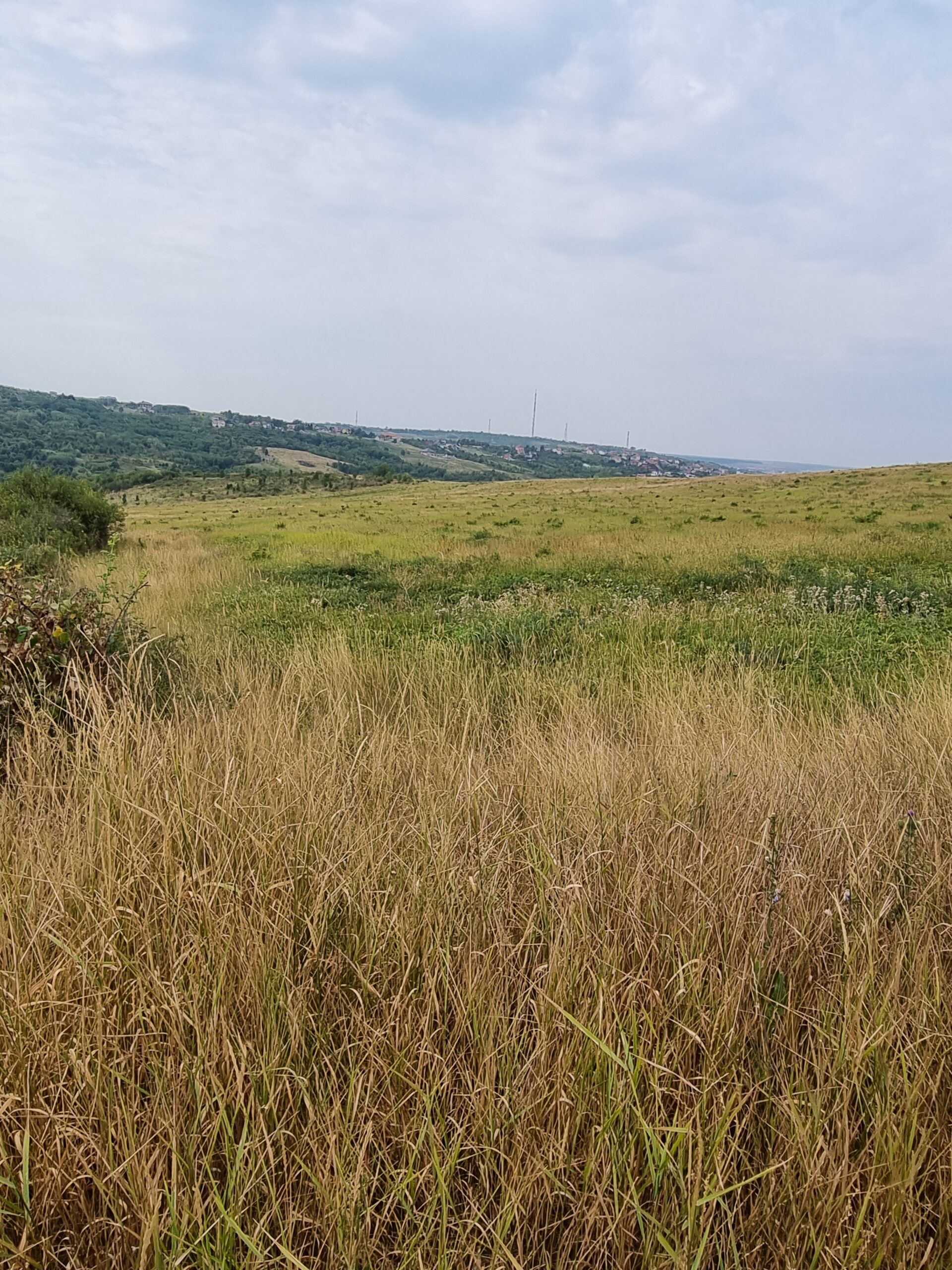 De vanzare teren intravilan la Saldabagiu de munte